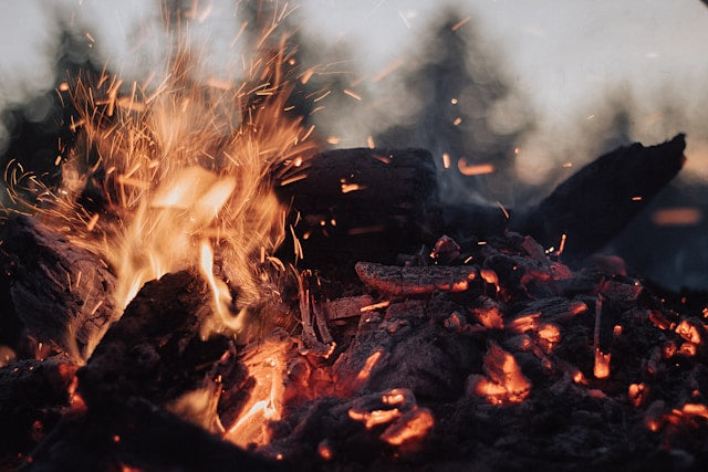 Activated Charcoal, So Hot