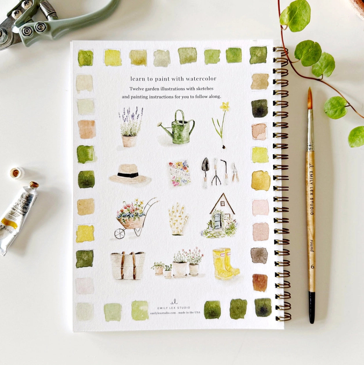 Emily Lex Watercolor Workbooks