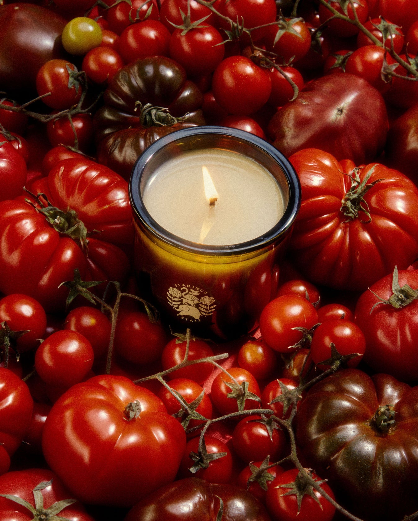 Flamingo Estate Candles - Roma Heirloom Tomato Candle sits on a bed of heirloom tomatoes.
