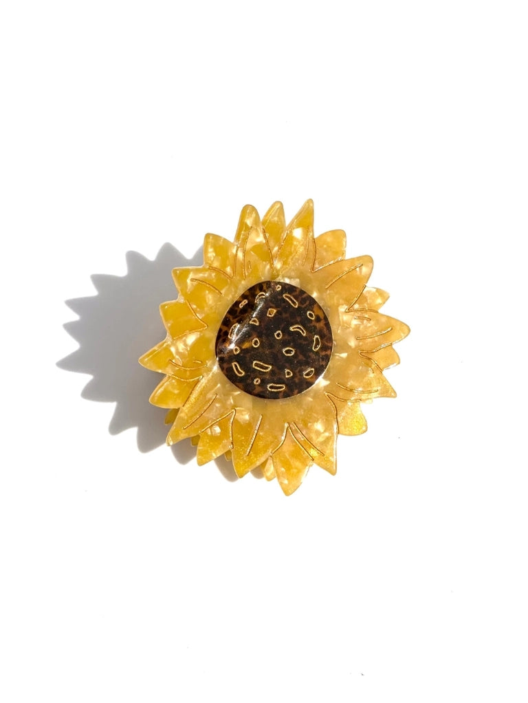 Hand-Painted Acetate Hair Clips