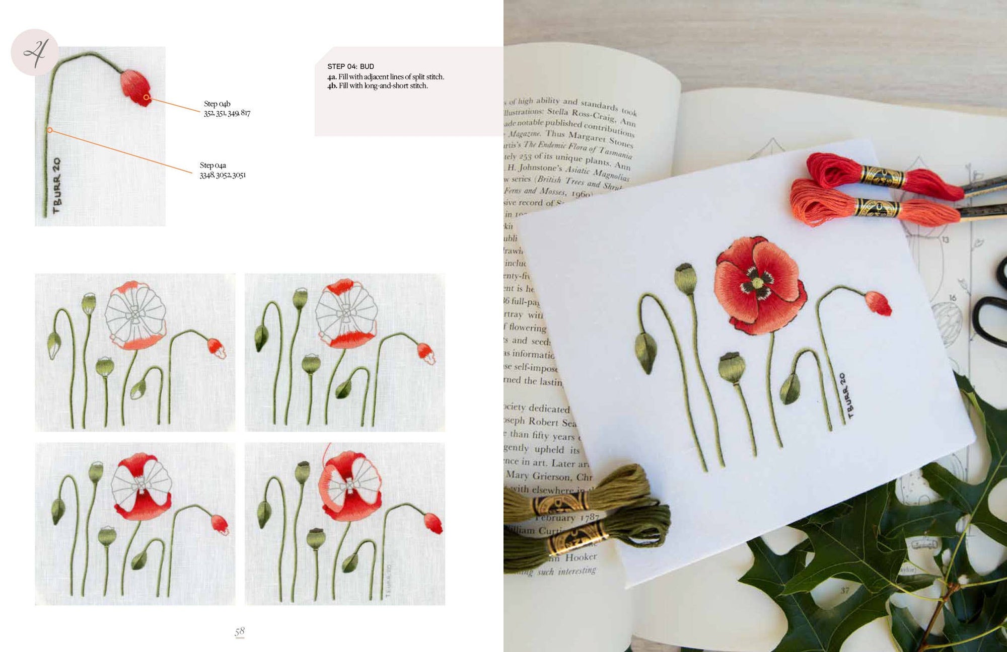 Kew Book of Nature Samplers