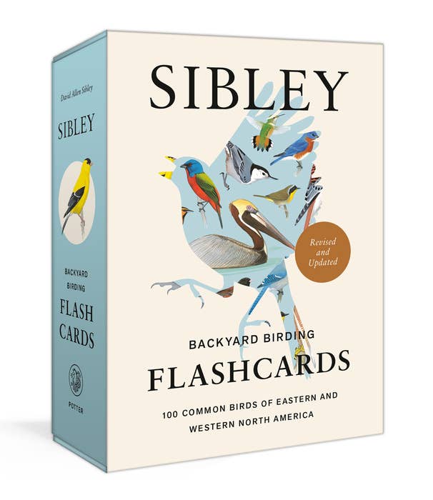 Sibley Backyard Birds Flashcards