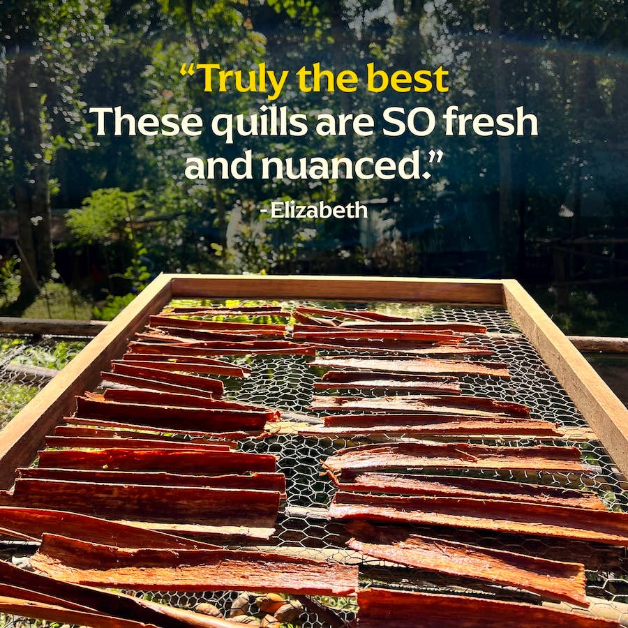 Single-Origin Whole Wild Cinnamon Quills