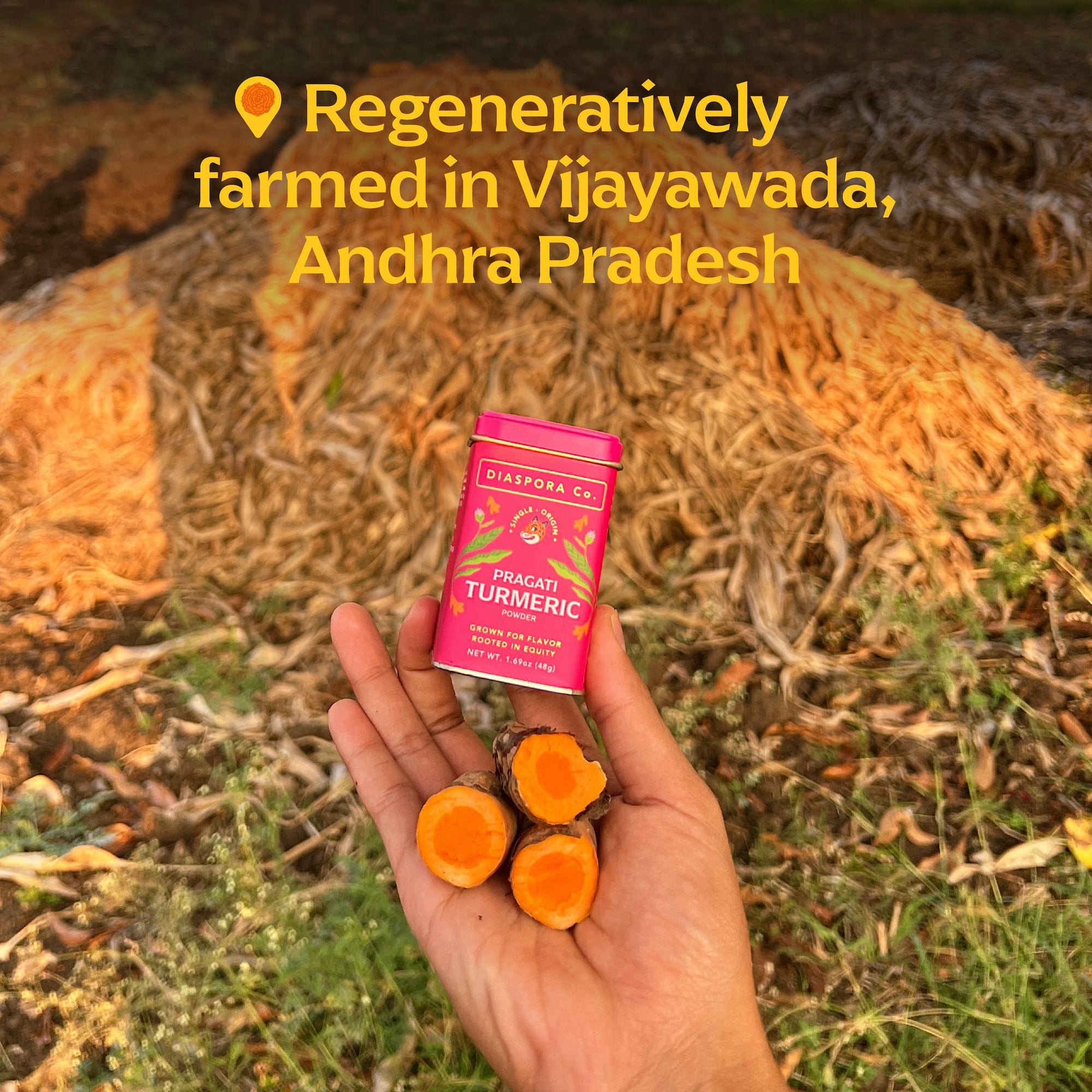 Single-Origin Pragati Turmeric Powder