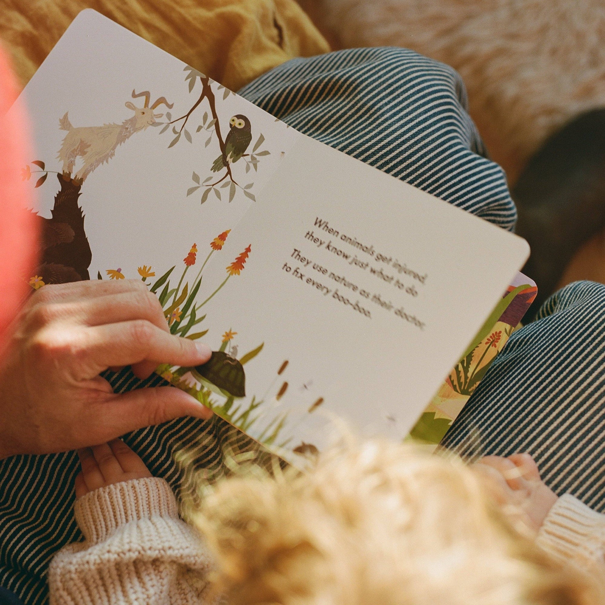 Dr. Animals Children’s Book
