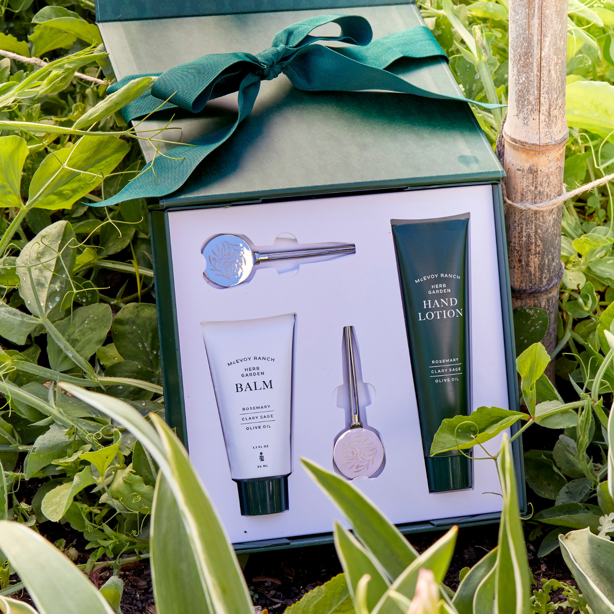McEvoy Ranch Herb Garden Gift Set