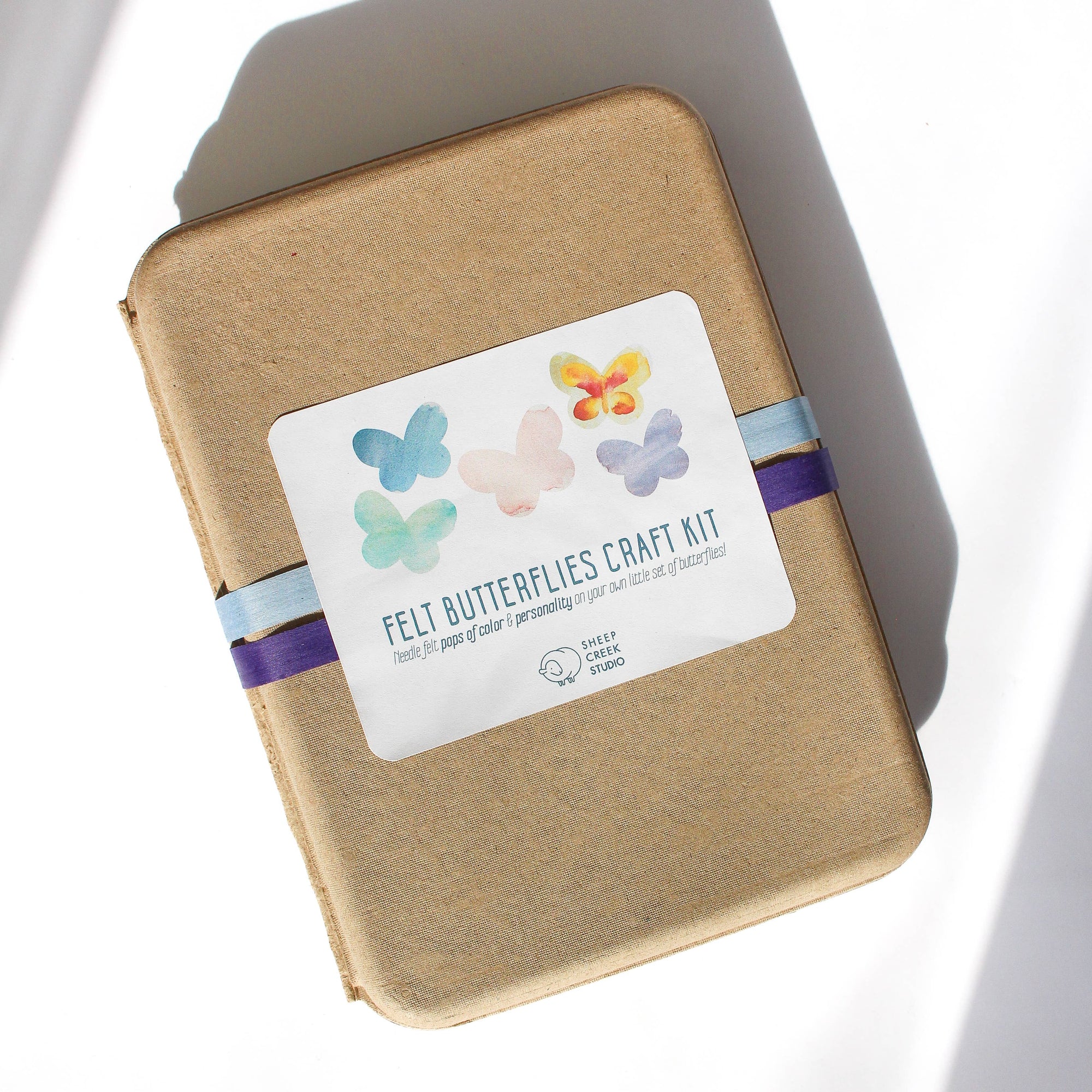 Felting Craft Kit