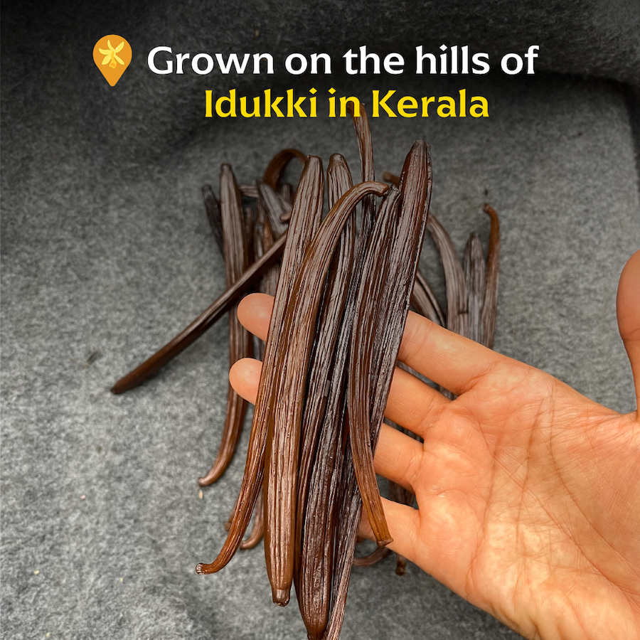 Single Origin Whole Kaveri Vanilla Pods
