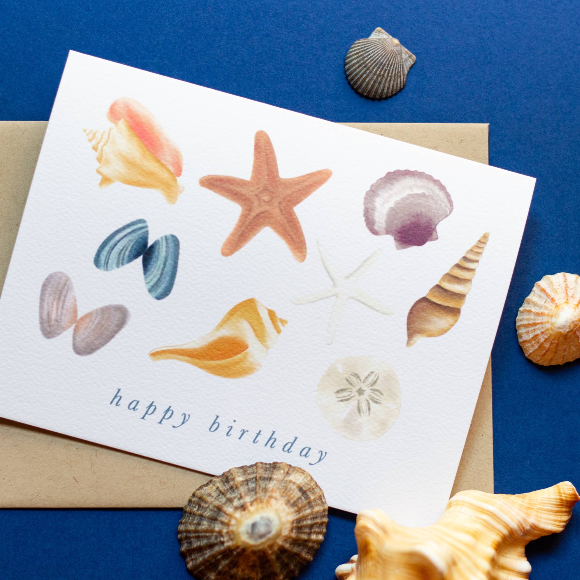 Seashells Birthday Card