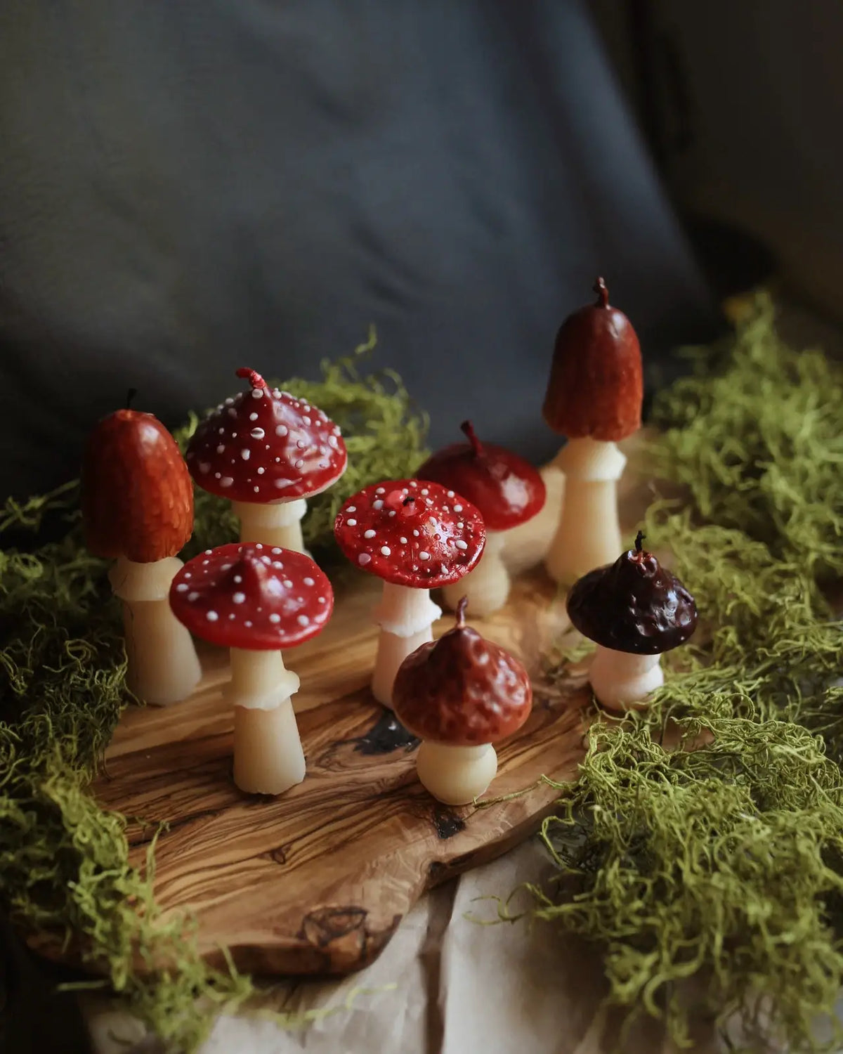 Amanita Mushroom  Beeswax Candle