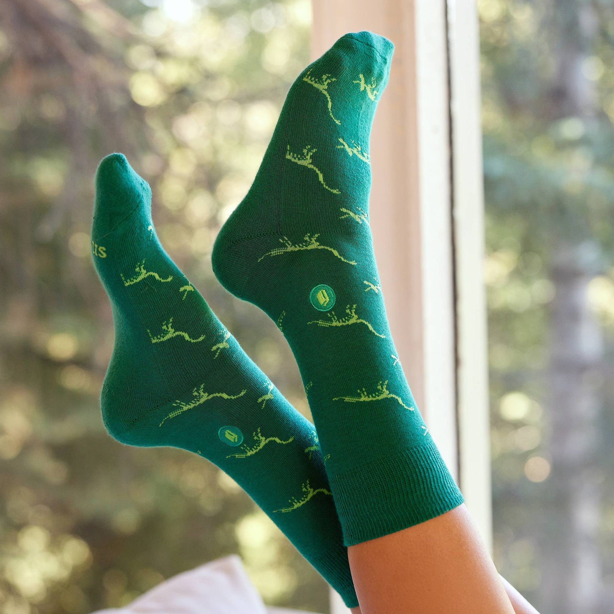Socks that Give Books (Green Dinosaurs)