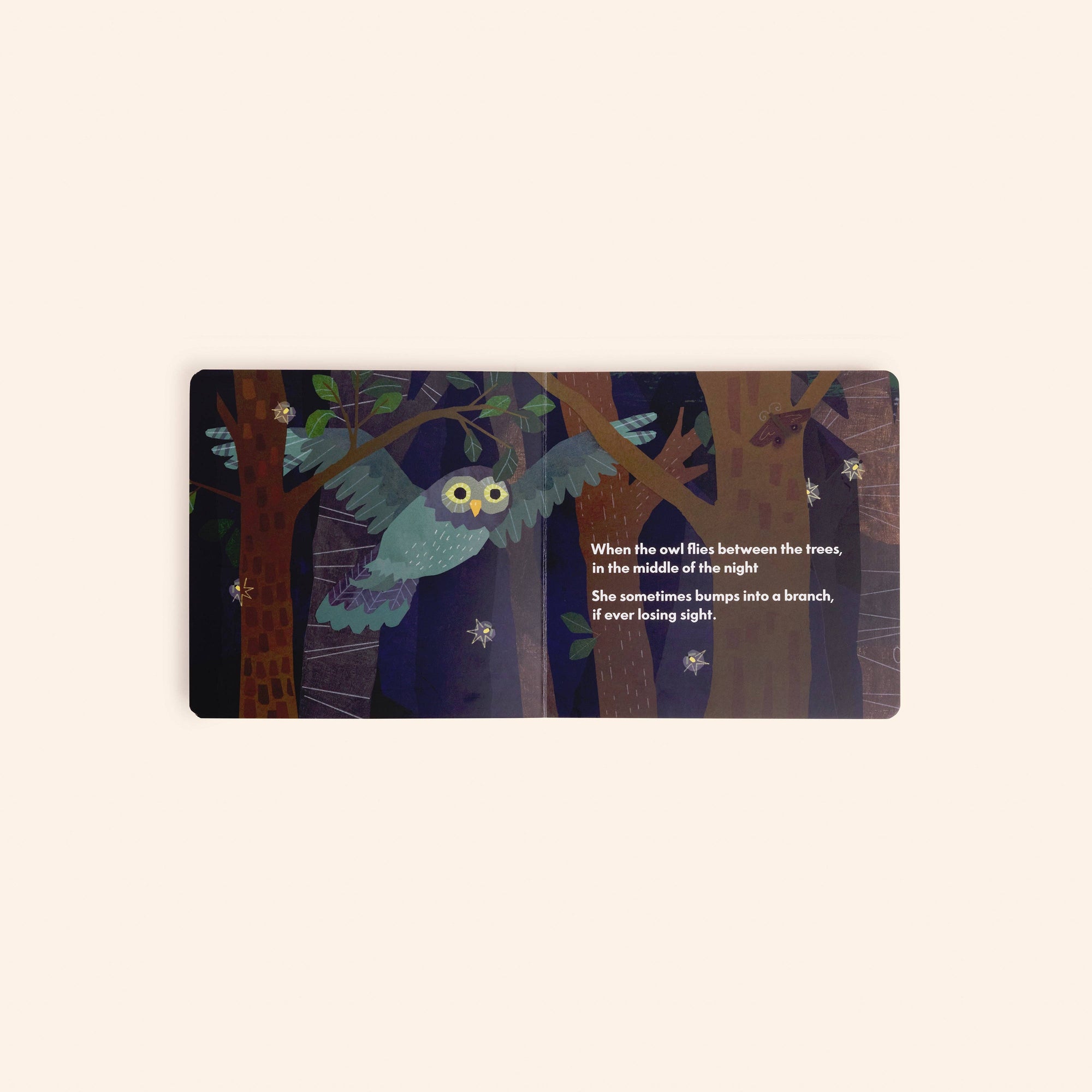 Dr. Animals Children’s Book