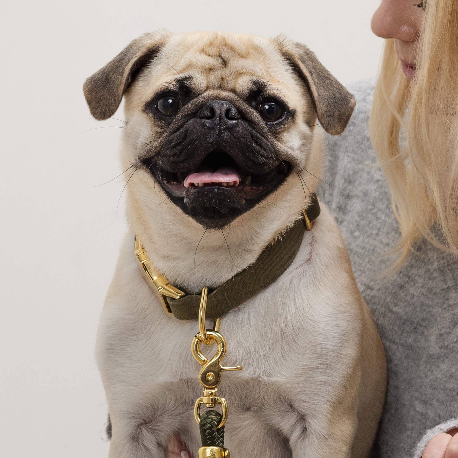 The Foggy Dog Luxe Collar