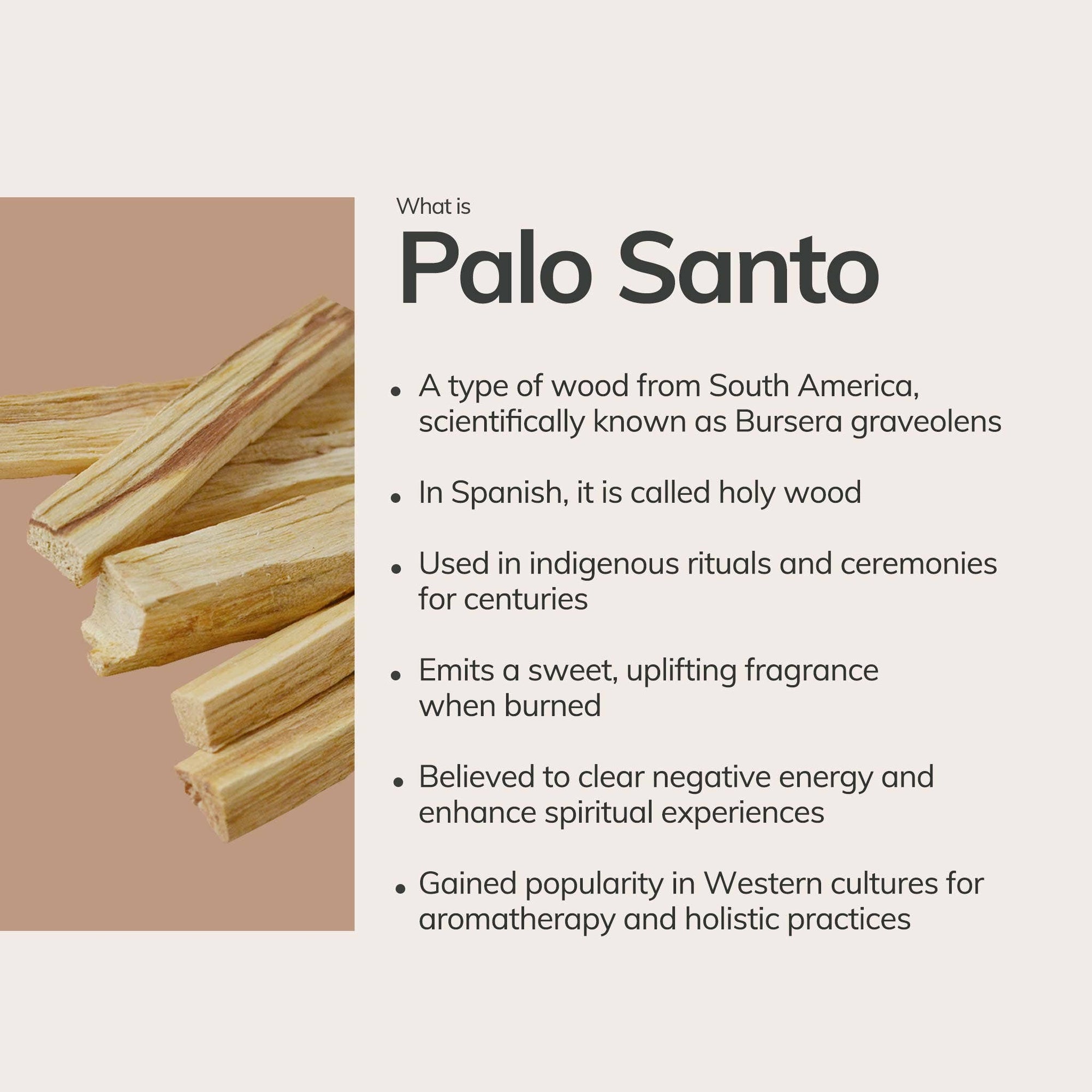 Handmade Palo Santo Incense Cones