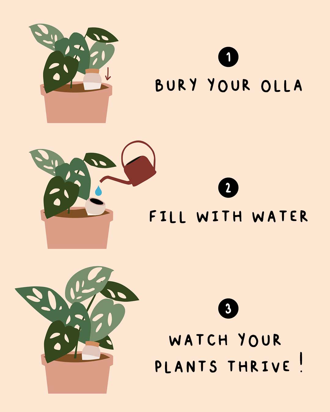 Hydrating Olla Plant Waterer