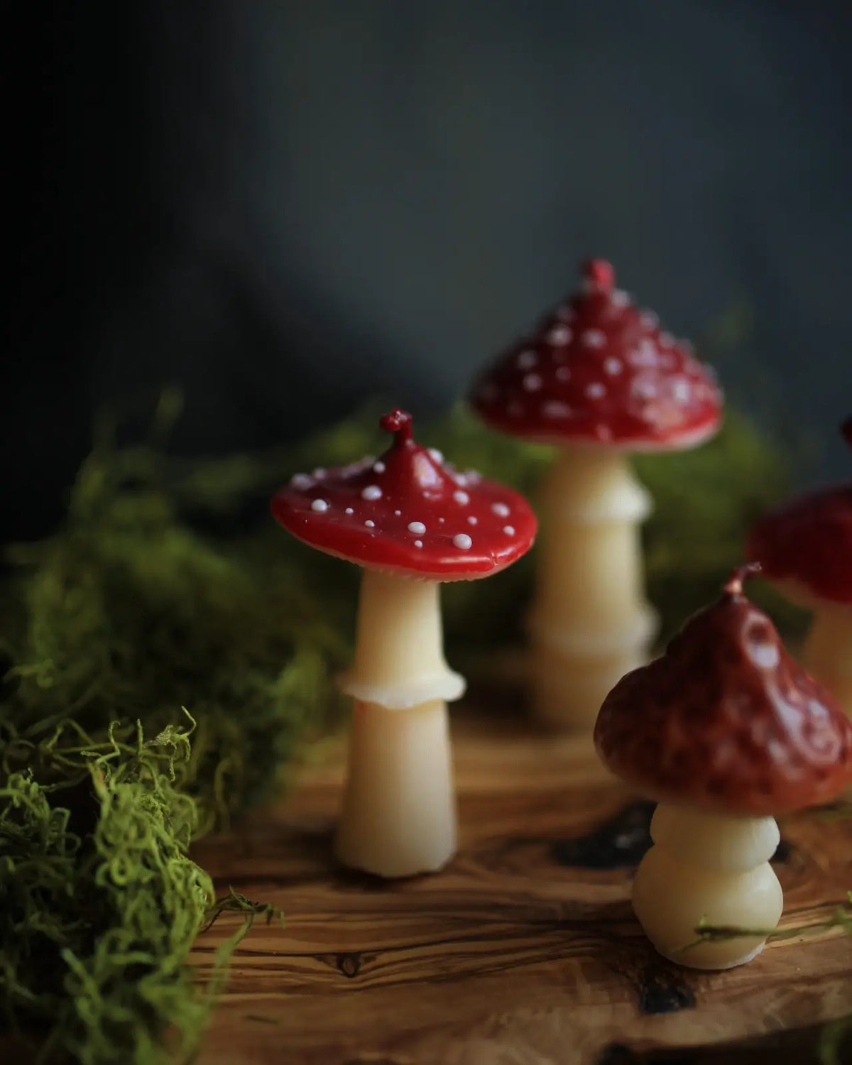 Amanita Mushroom  Beeswax Candle