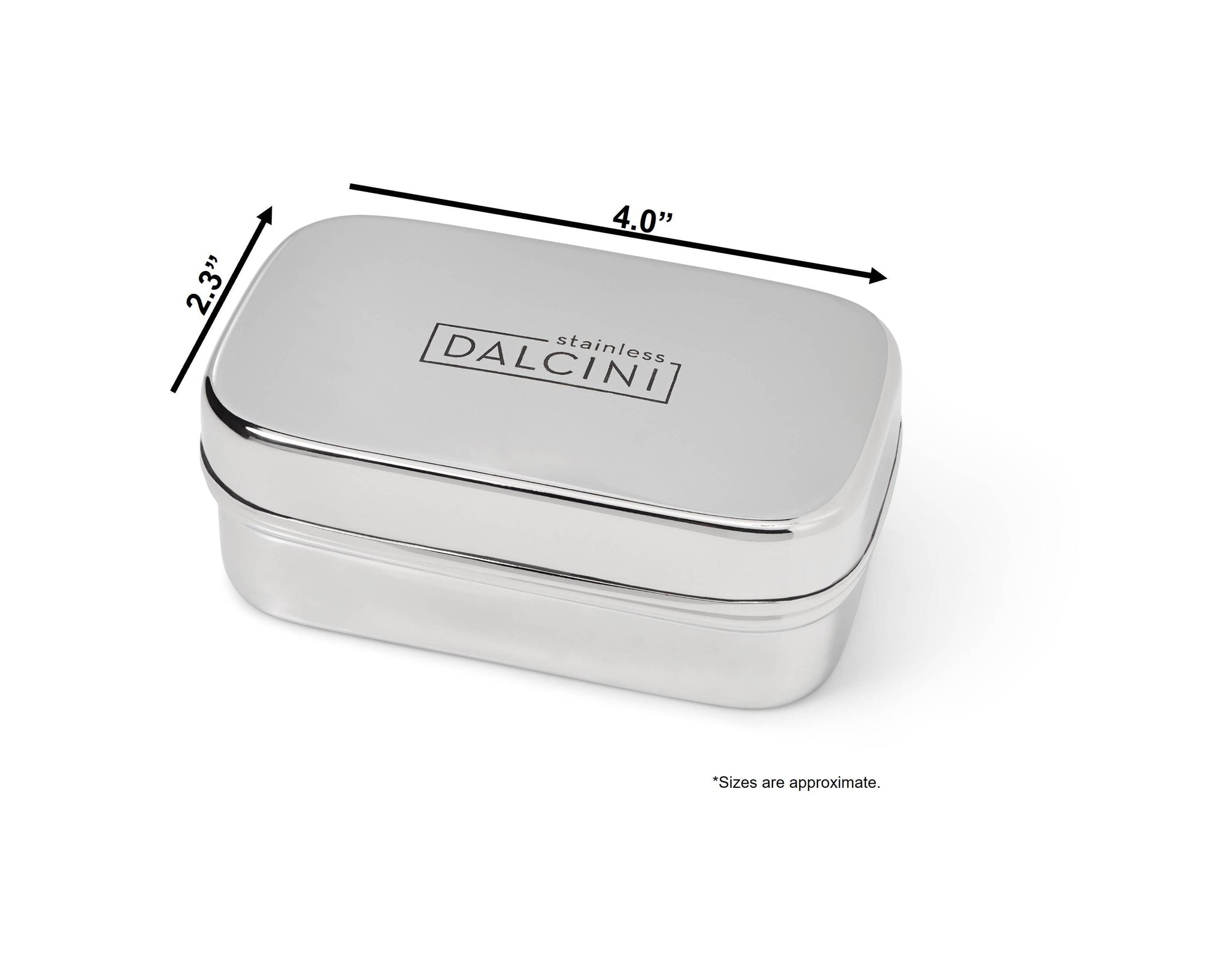 Stainless Steel Soap Container