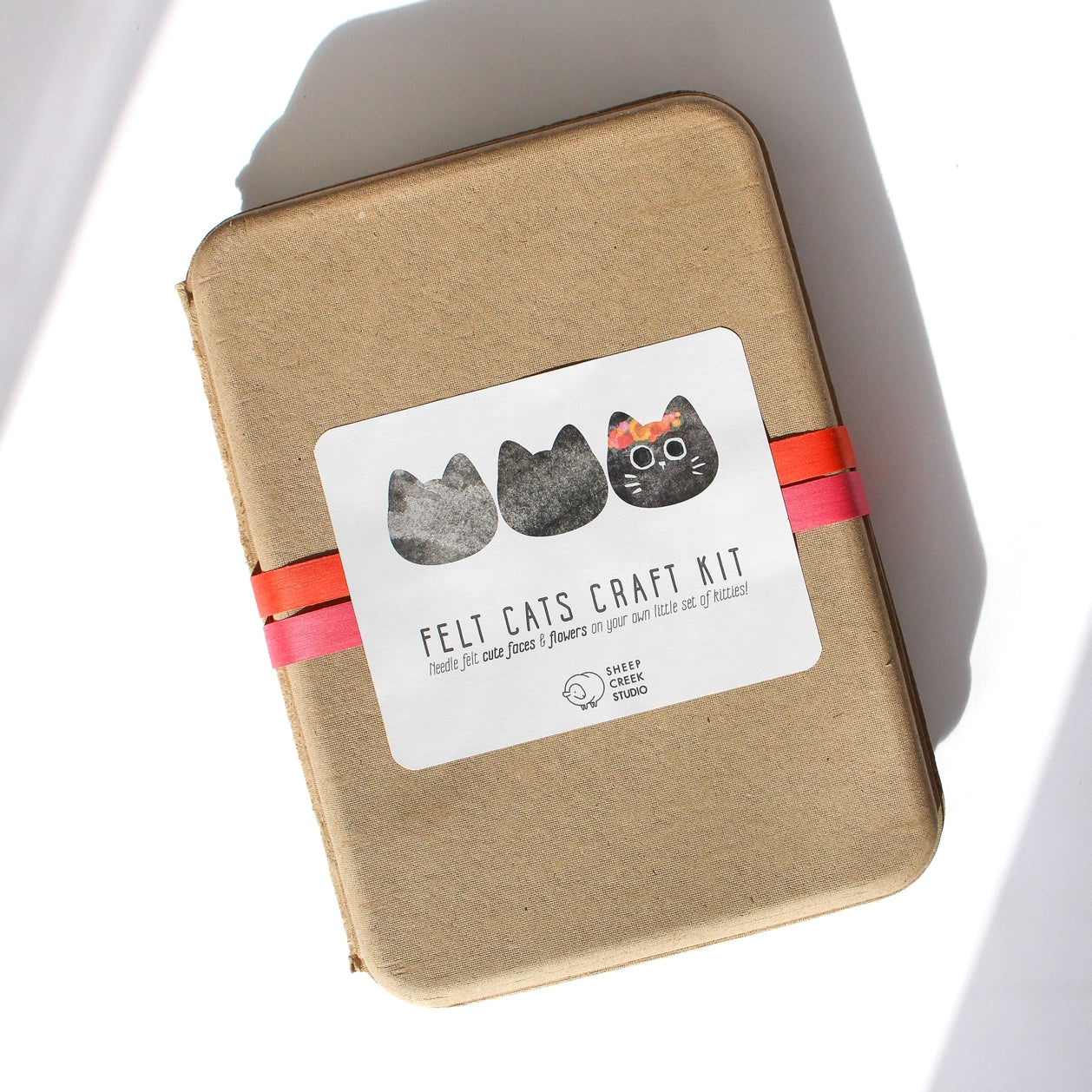 Felting Craft Kit