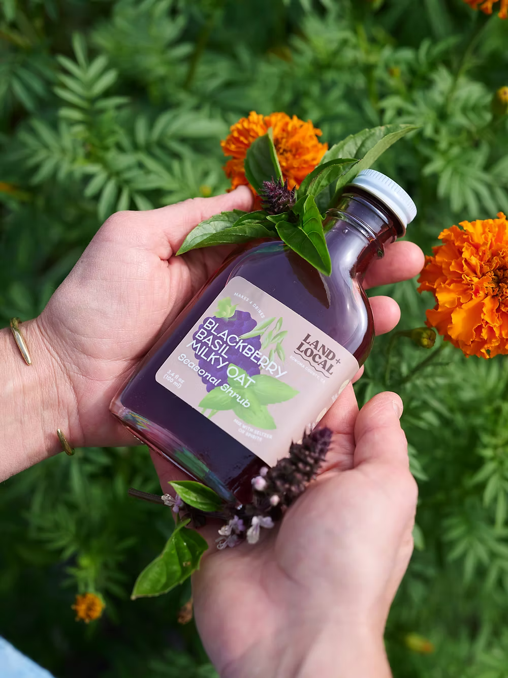 Land + Local Seasonal Syrups and Shrubs