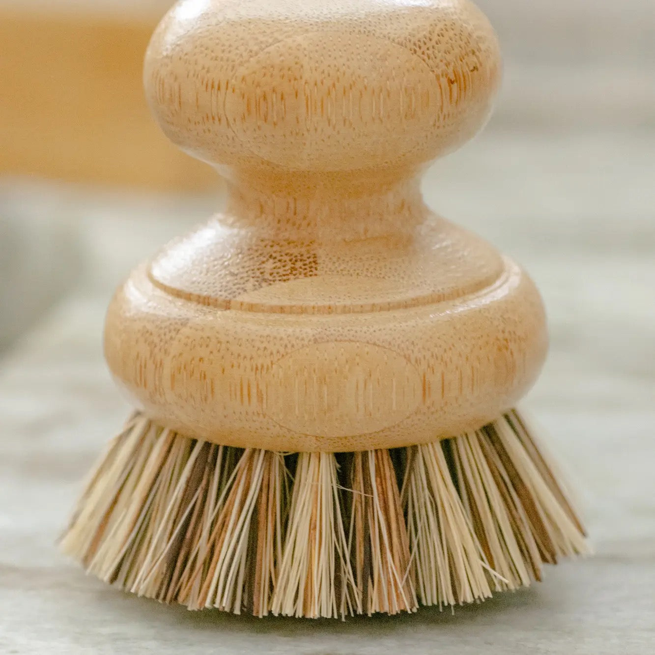 Pot Scrubber Brush