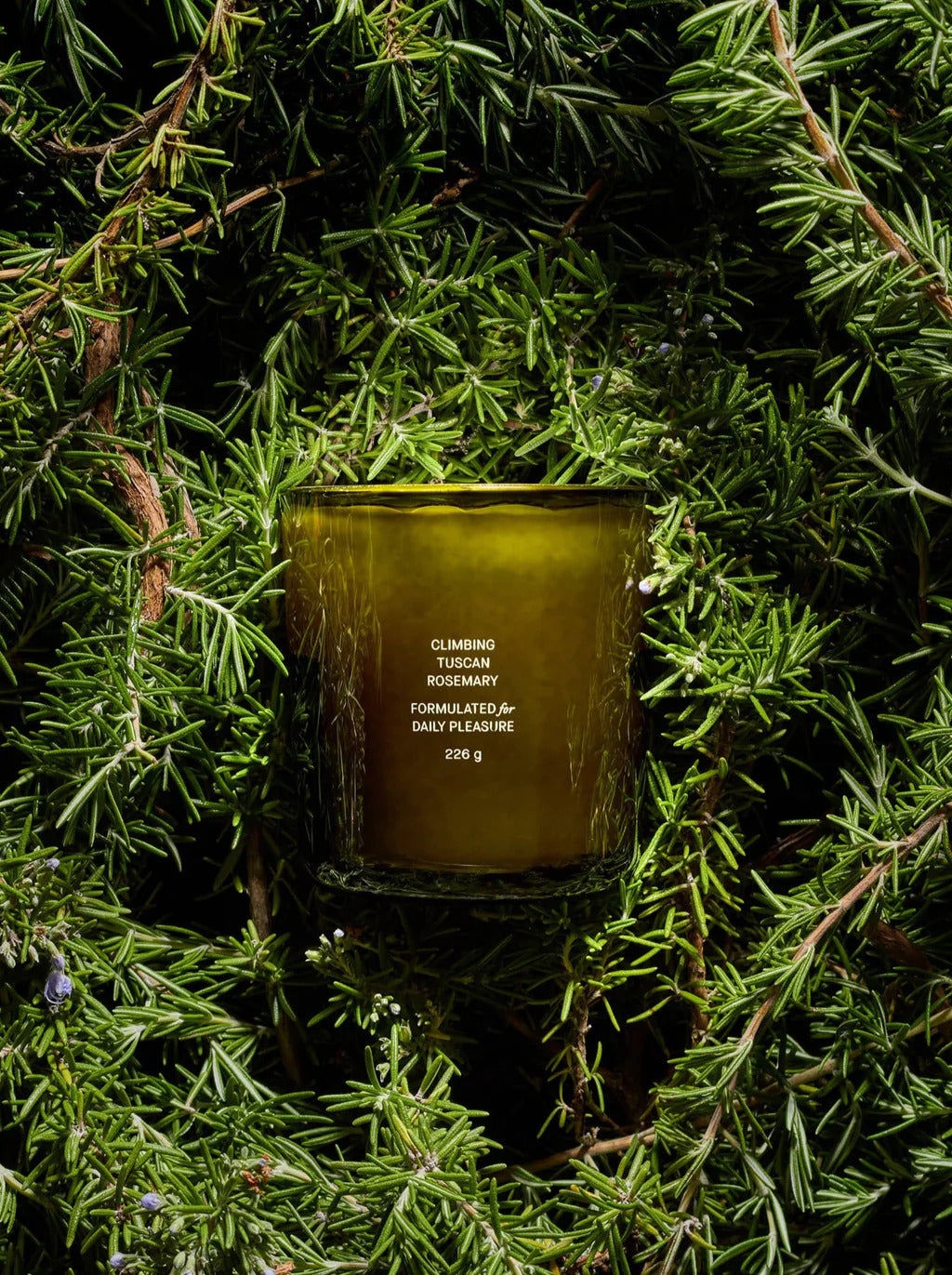 Flamingo Estate Candles - Climbing Tuscan Rosemary on a bed of rosmary.