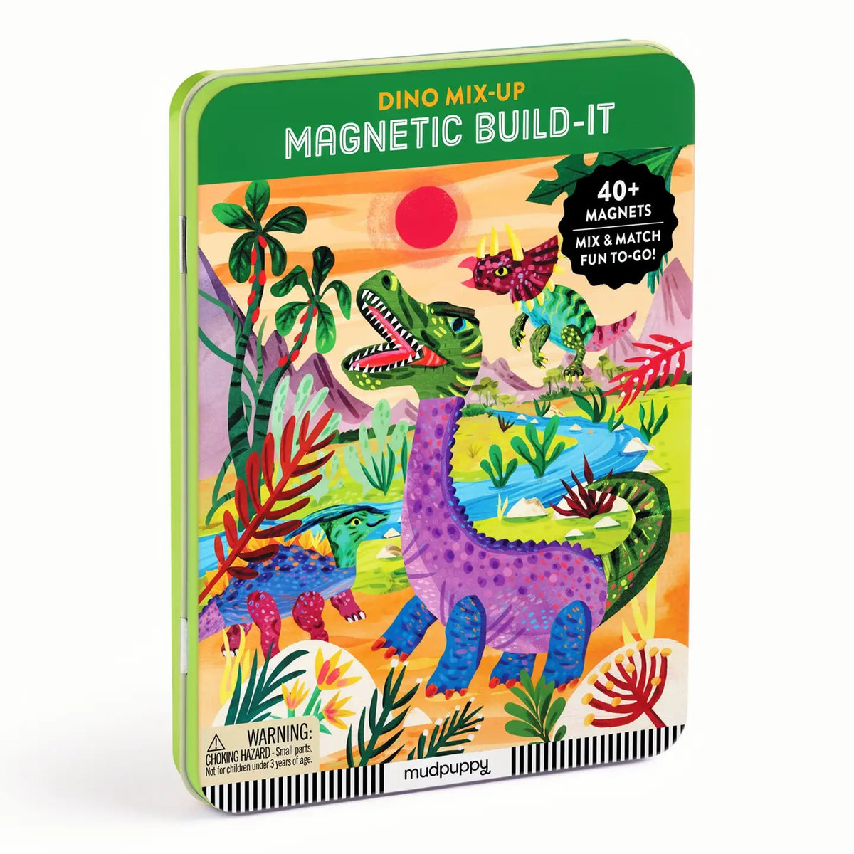 Magnetic Play Set