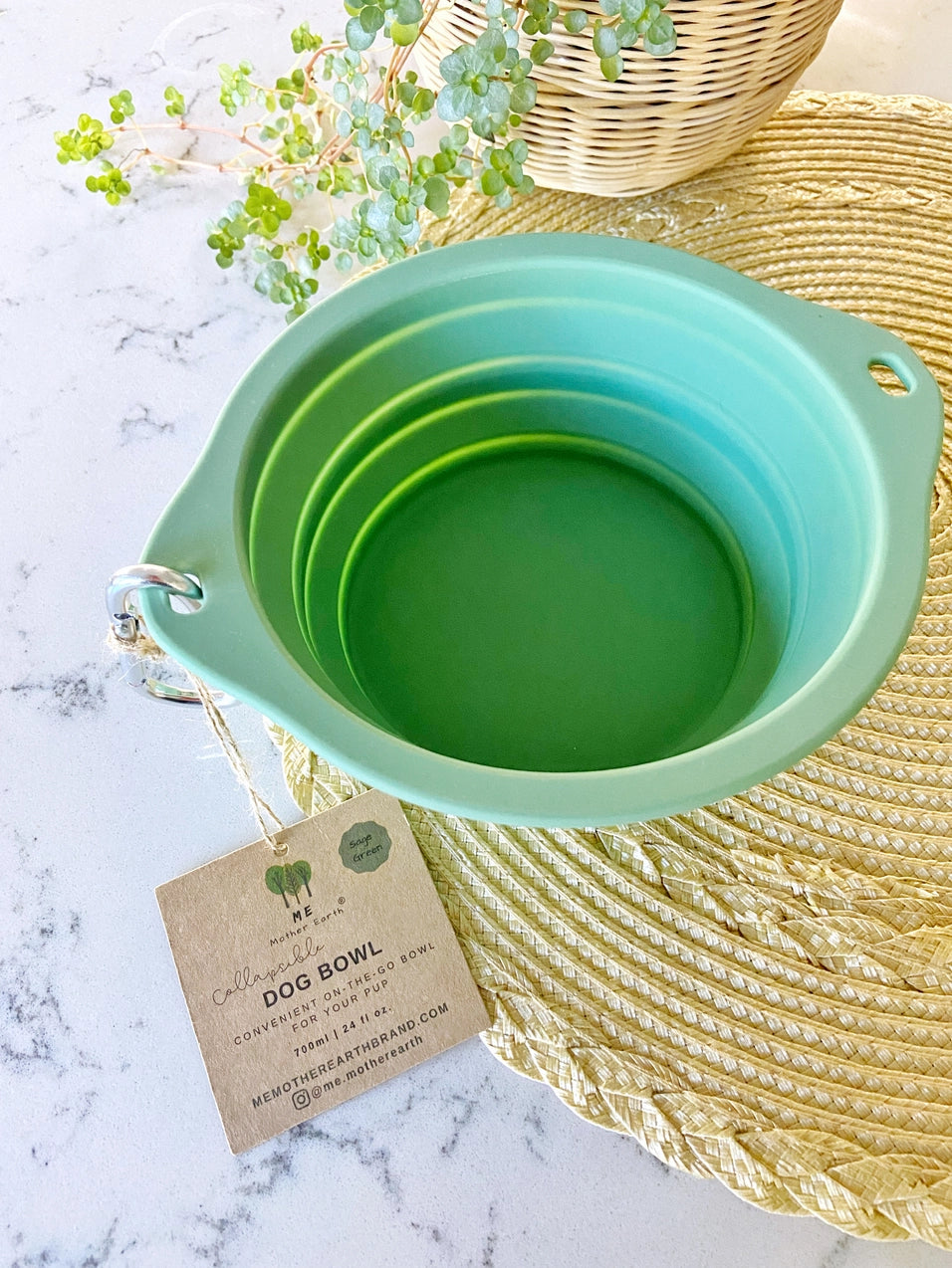 Collapsible Silicone Dog Bowls