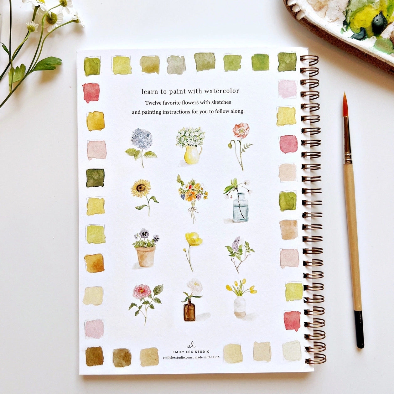 Emily Lex Watercolor Workbooks