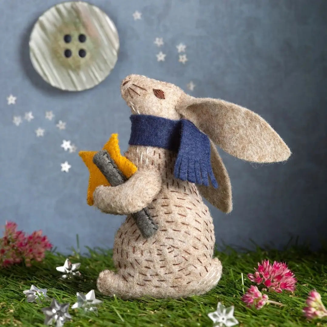 Corinne Lapierre Felt Craft Kits