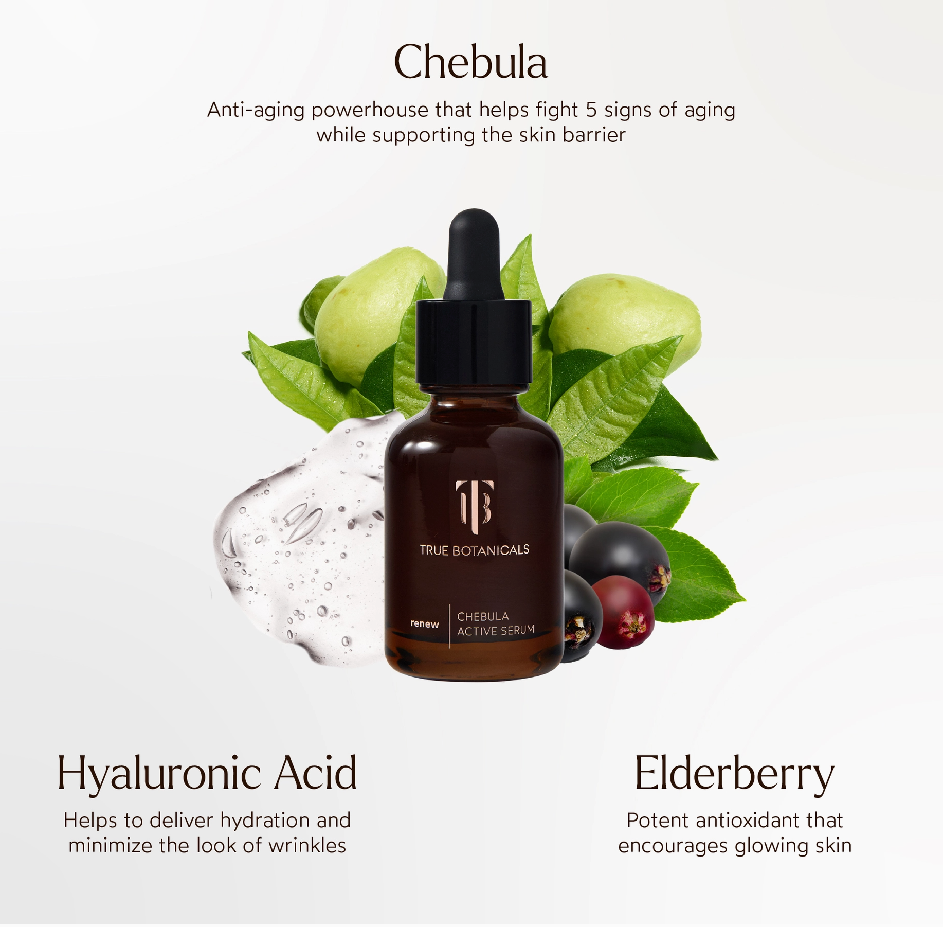 True Botanicals Chebula Active Serum