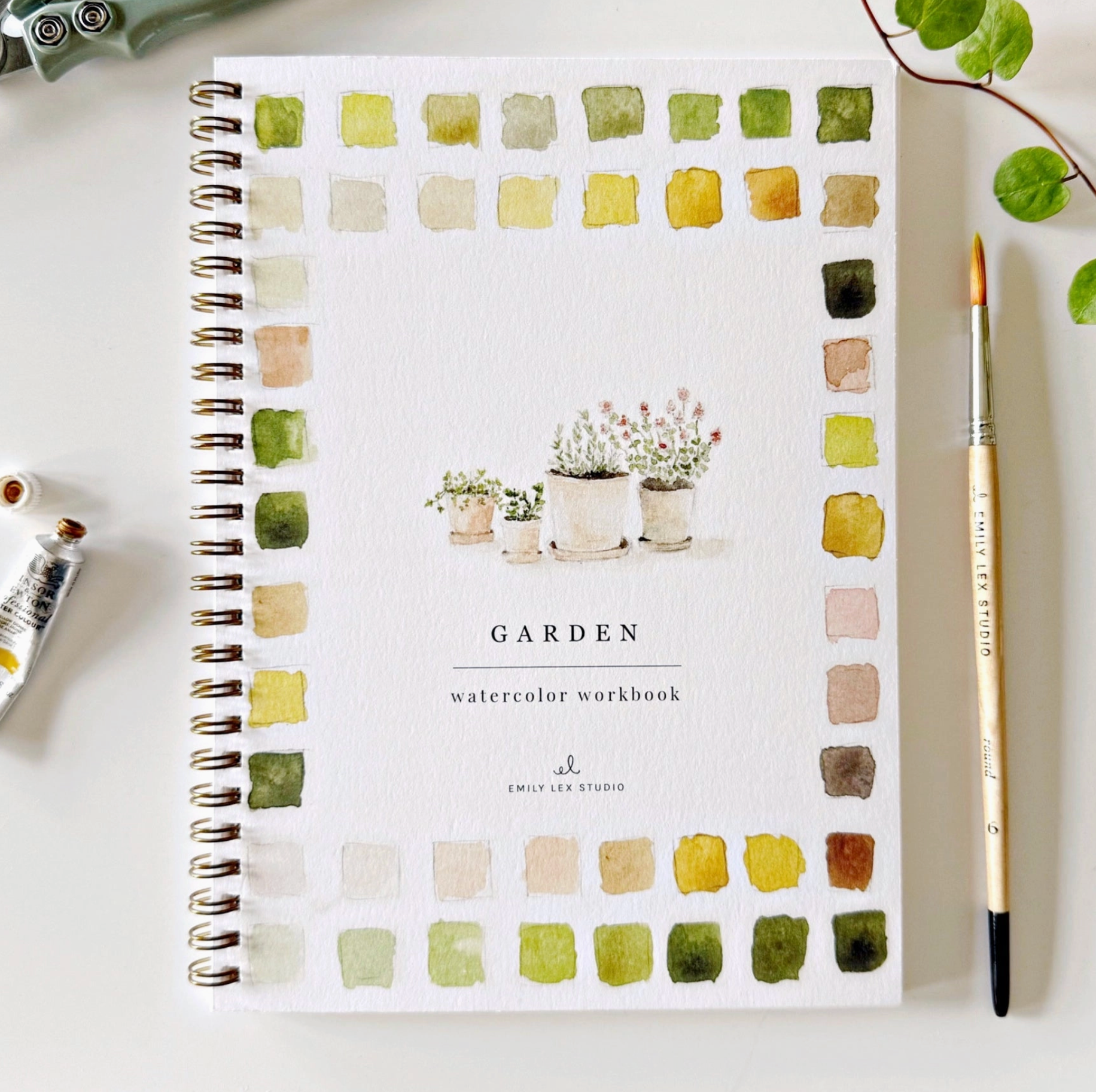 Emily Lex Watercolor Workbooks