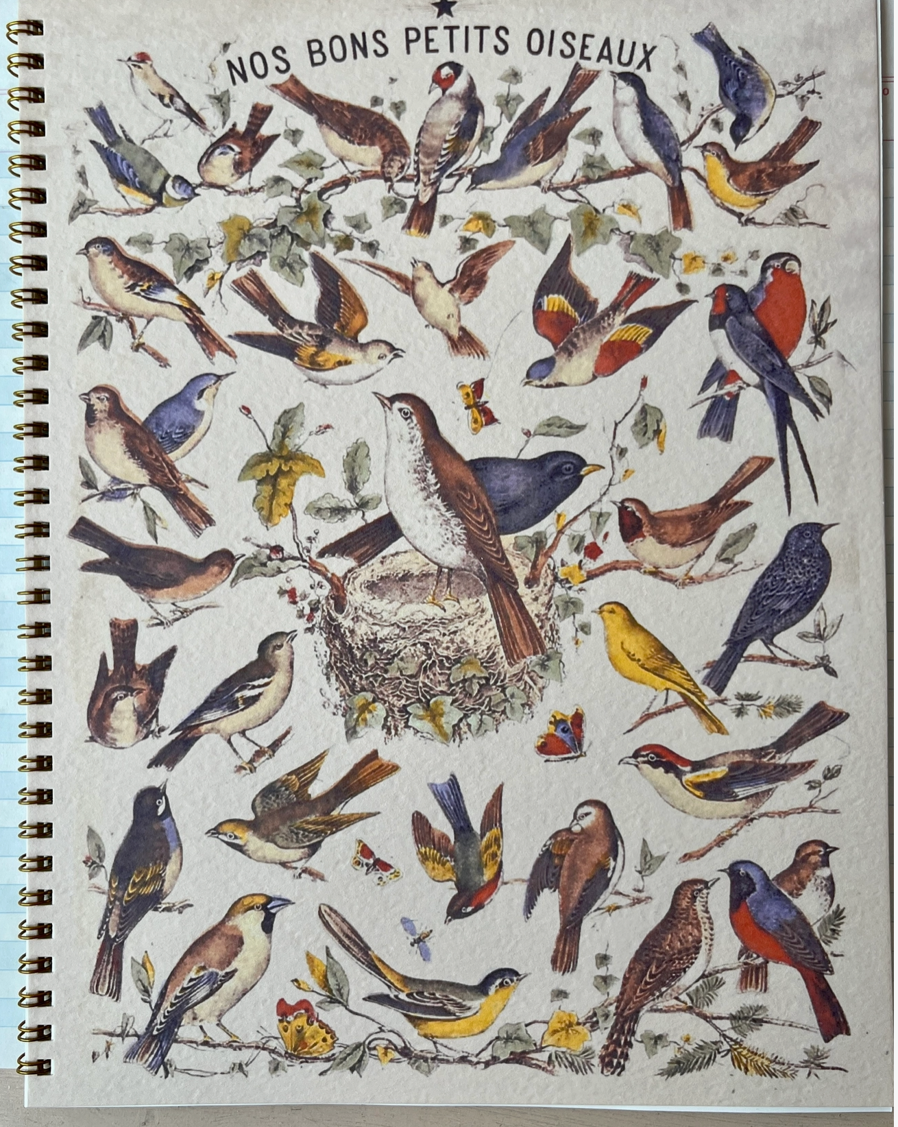 Parcel Notebooks - 8x11