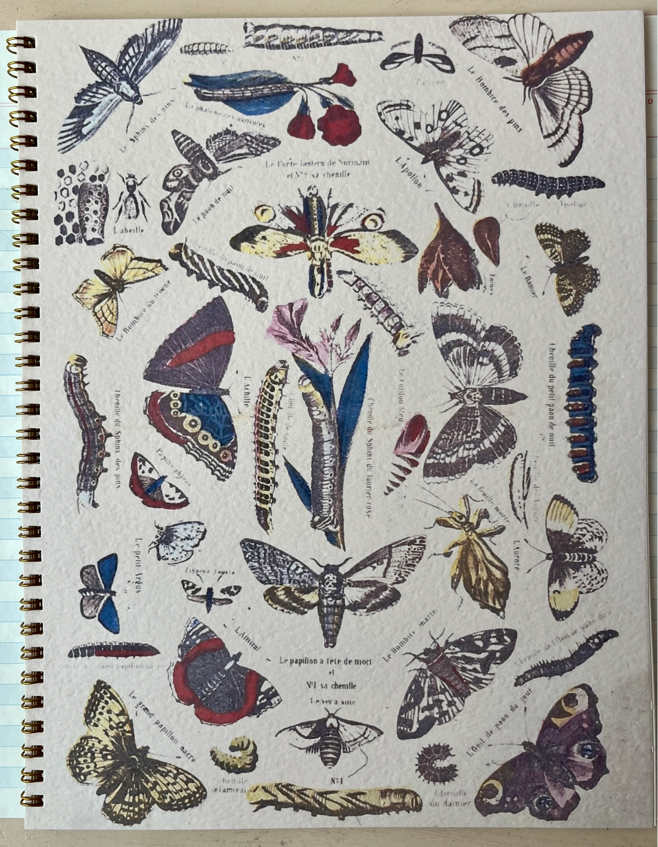 Parcel Notebooks - 8x11