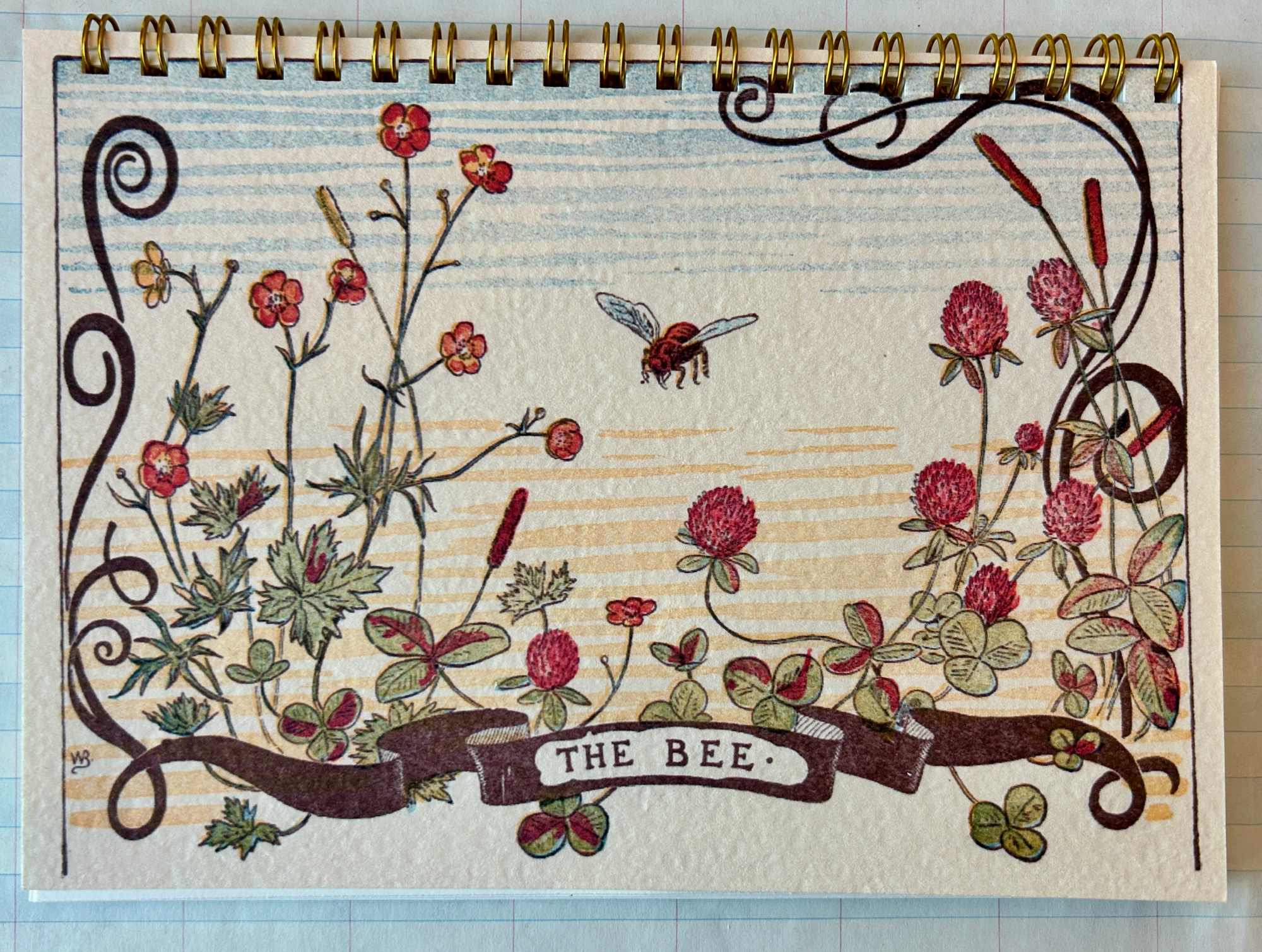 Parcel Notebooks - 5x7