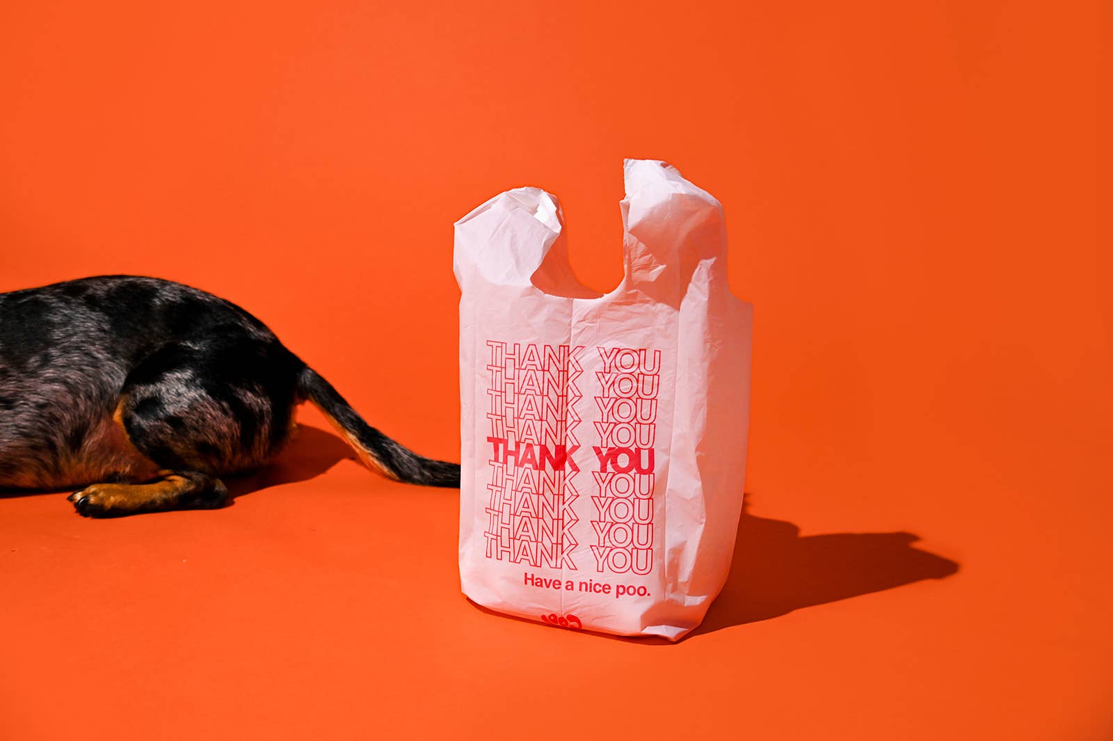 The Thank You Dog Poop Bag