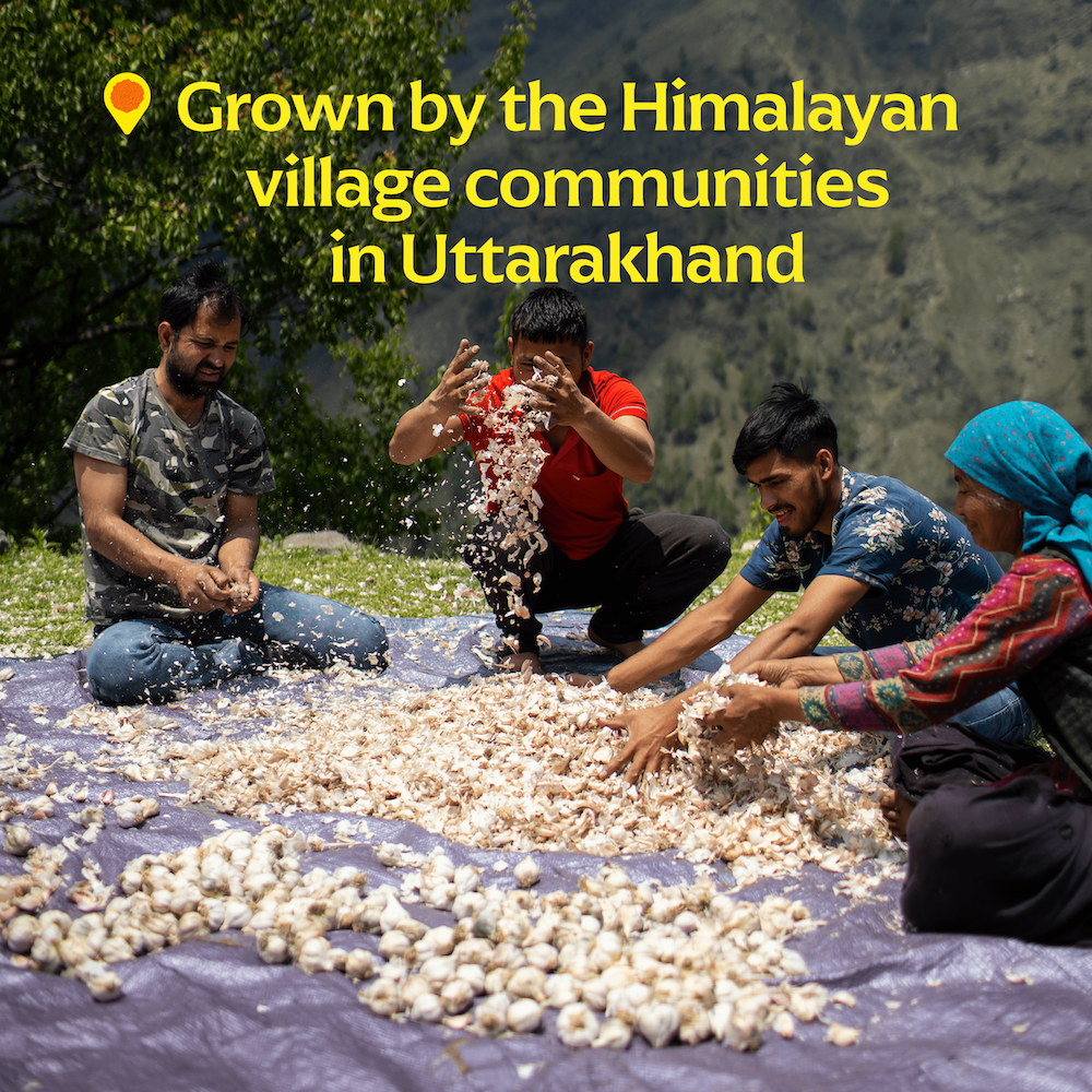 Single Origin Pahadi Pink Garlic Powder