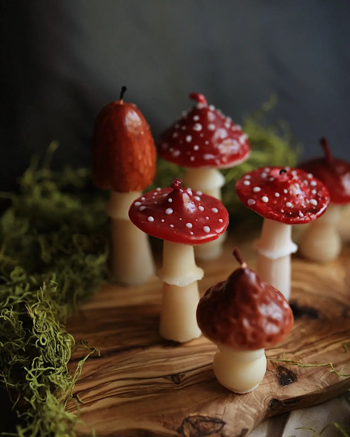Amanita Mushroom  Beeswax Candle