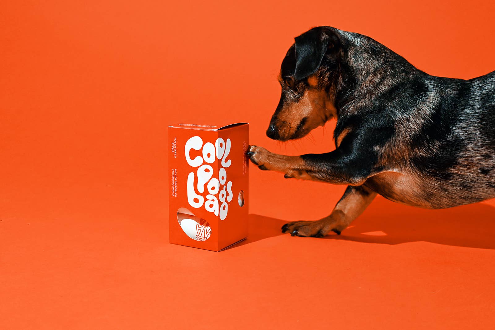 The Thank You Dog Poop Bag