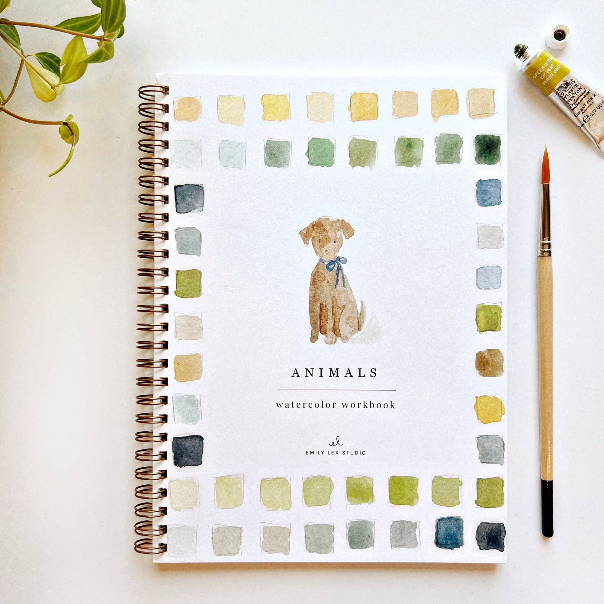 Emily Lex Watercolor Workbooks