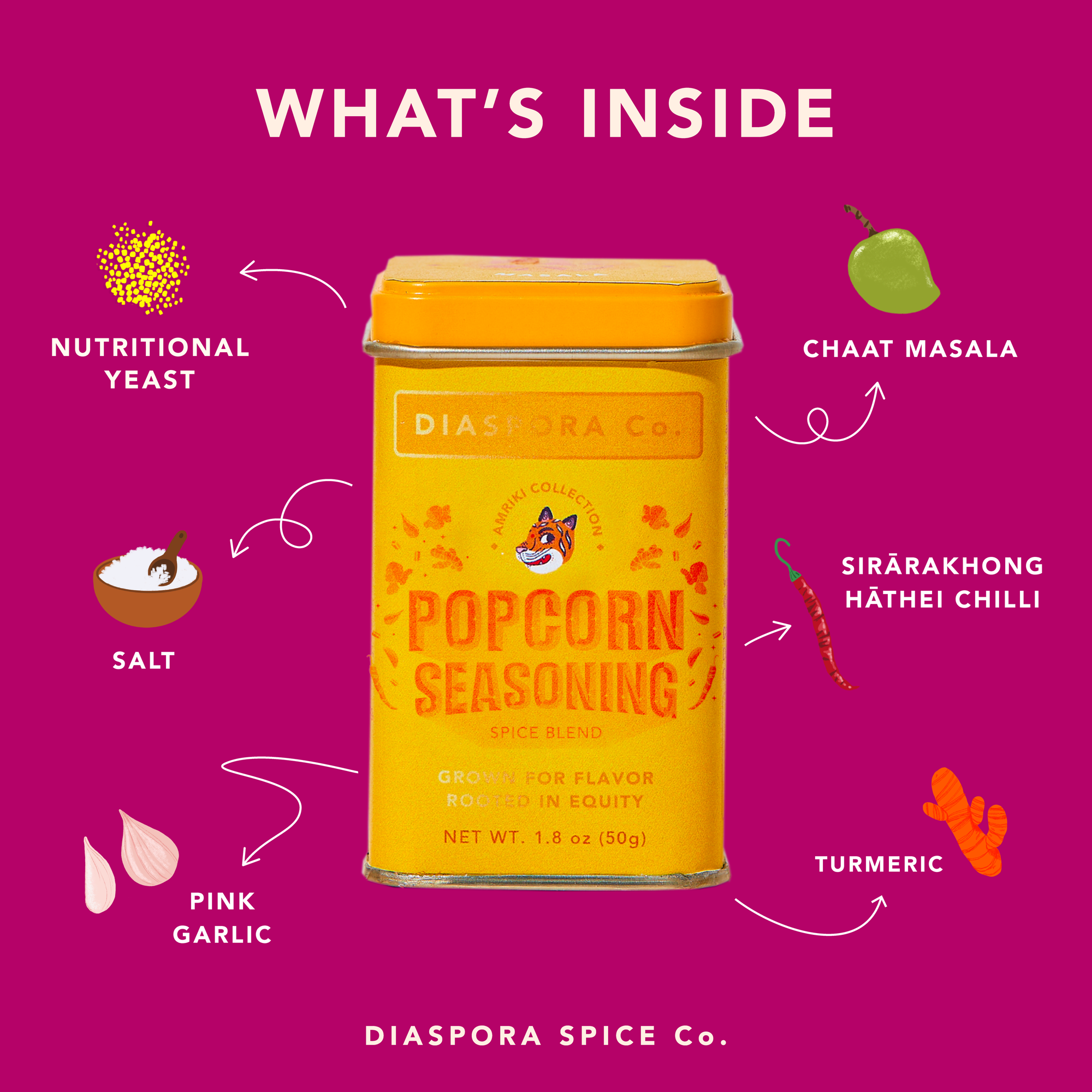 Popcorn Seasoning Spice Blend