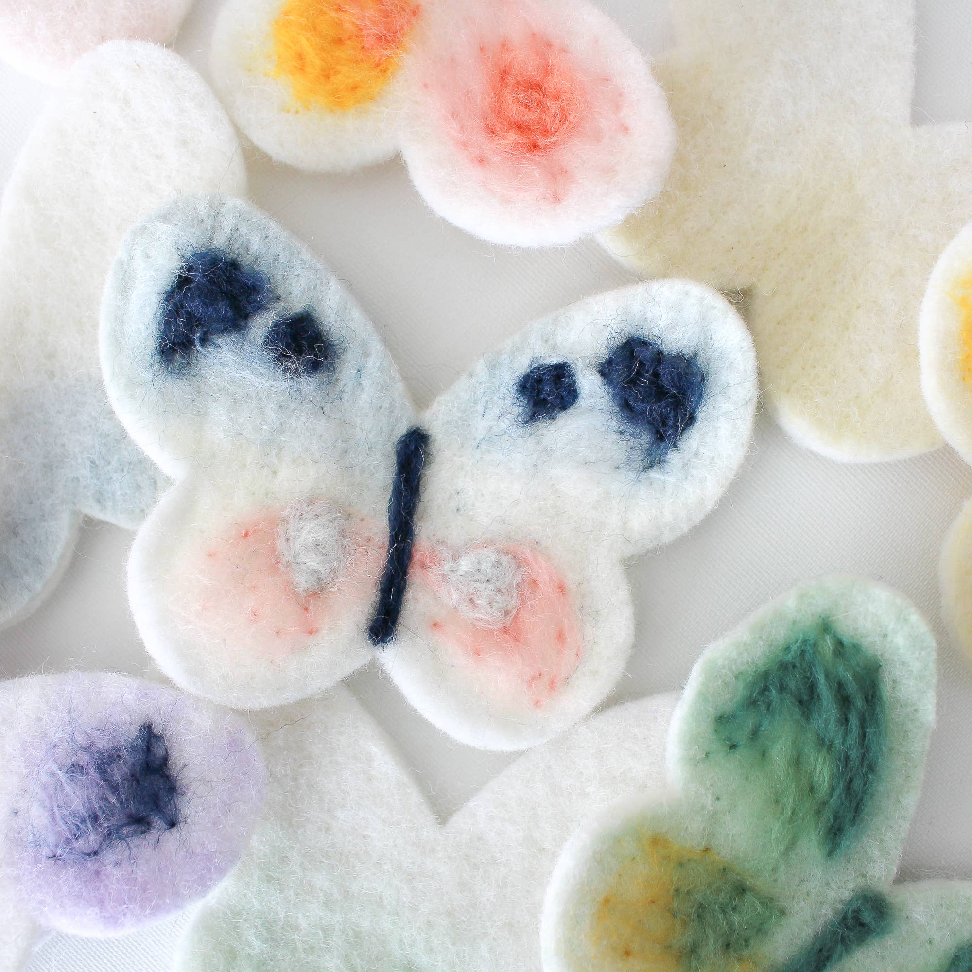 Felting Craft Kit