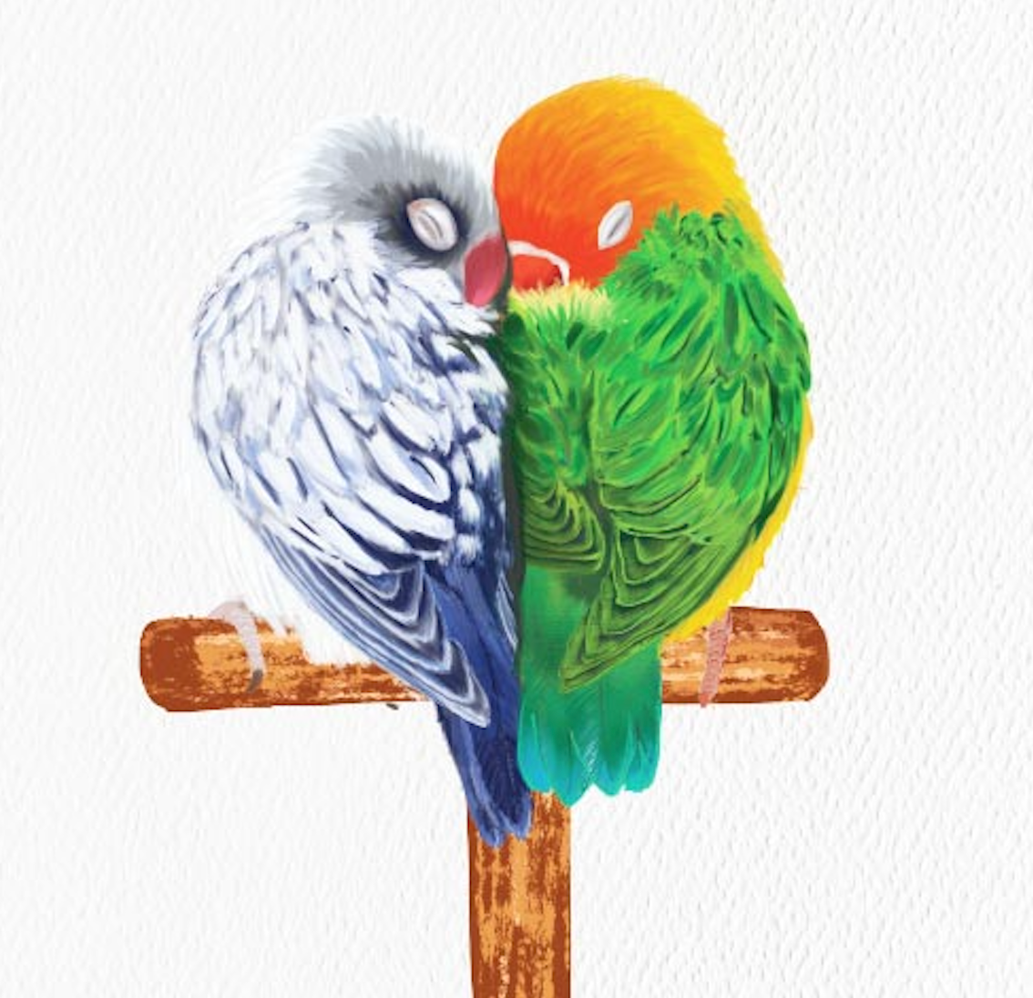 Congrats, Lovebirds Greeting Card