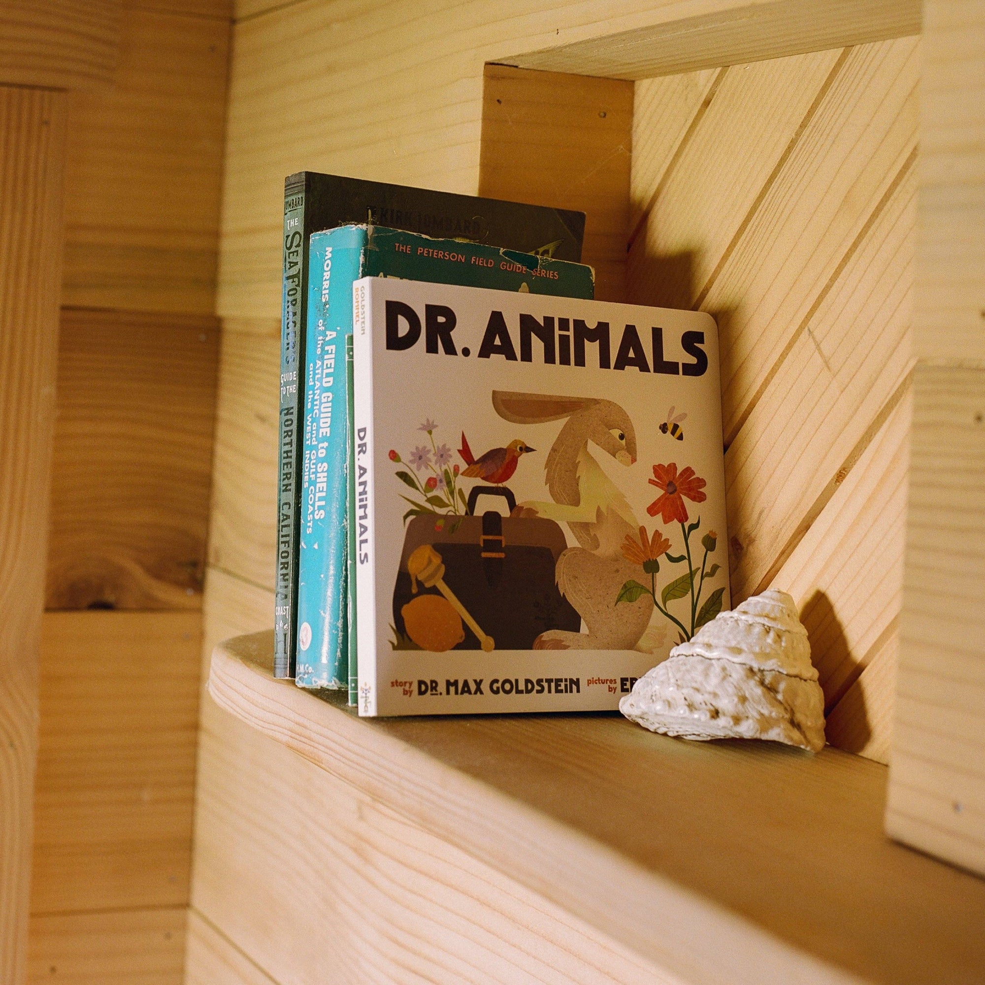 Dr. Animals Children’s Book