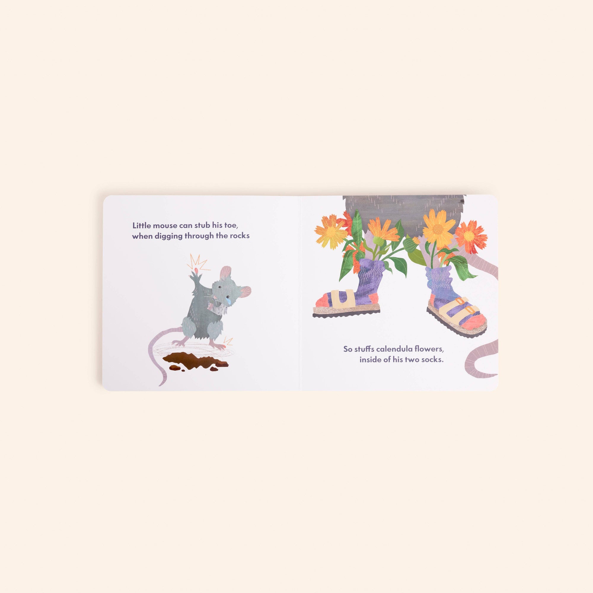 Dr. Animals Children’s Book