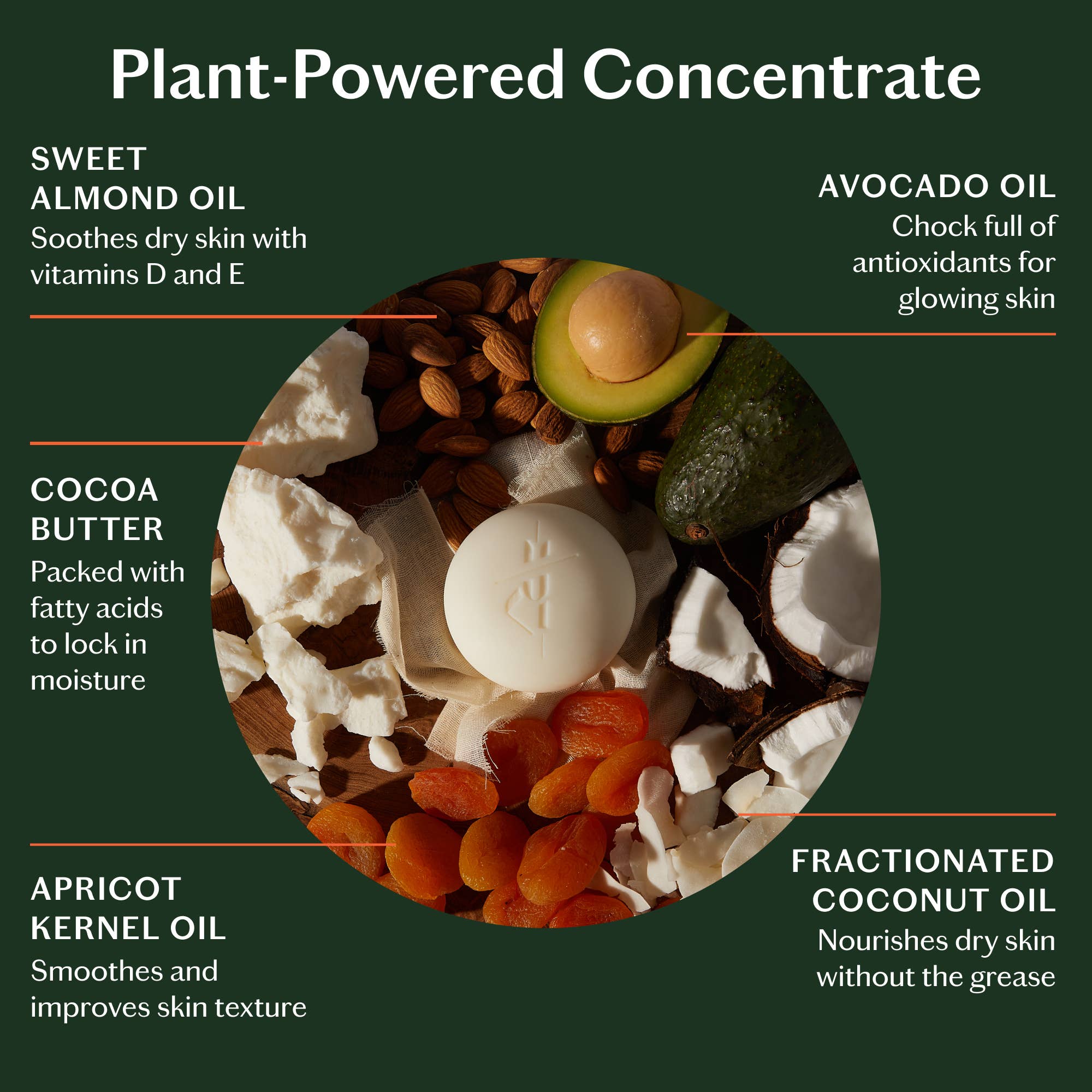 Moisturizing Lotion Bar by Kate McLeod