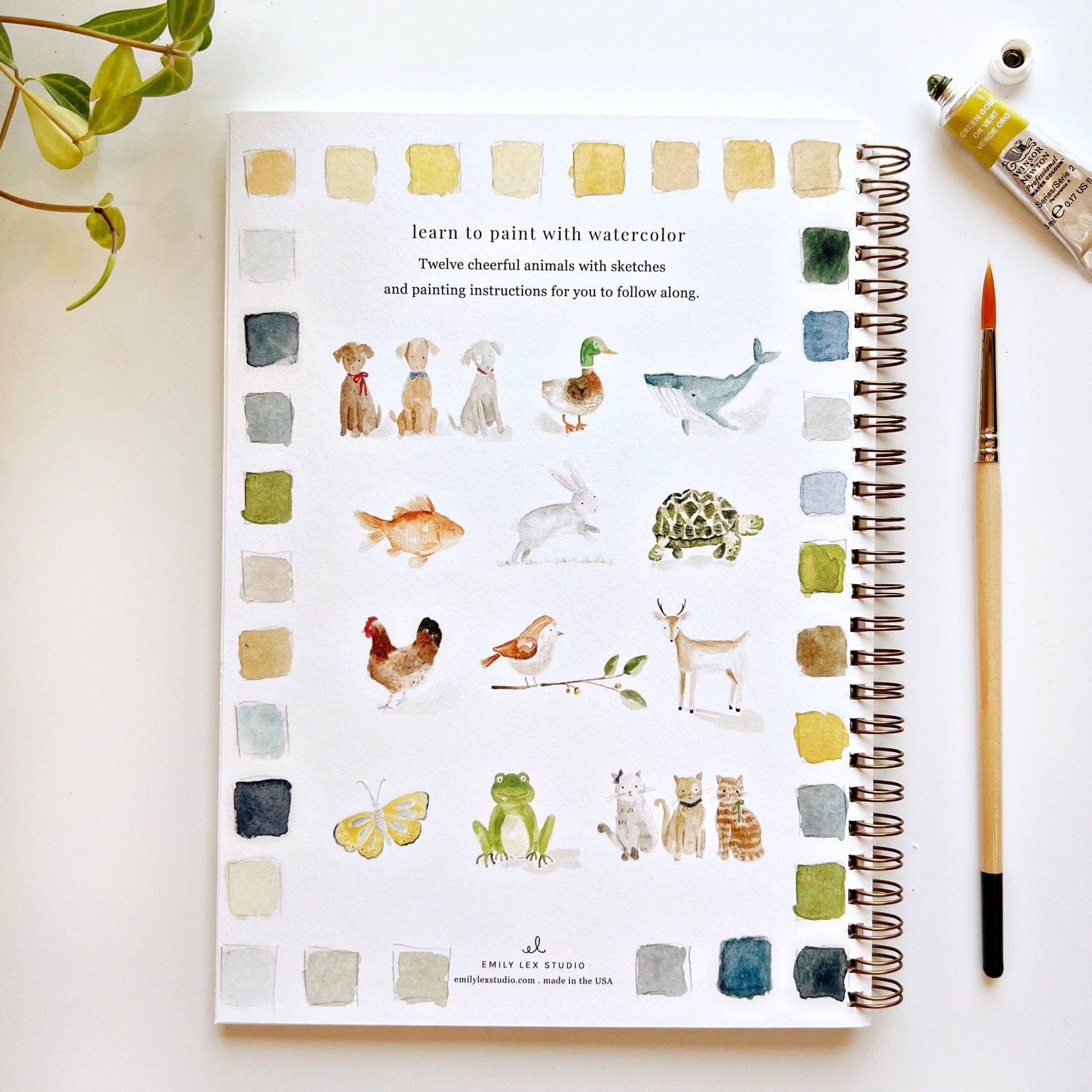 Emily Lex Watercolor Workbooks